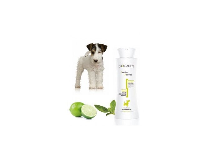 c53cf940 e552 4416 94cb 35d86a99e257 lrg