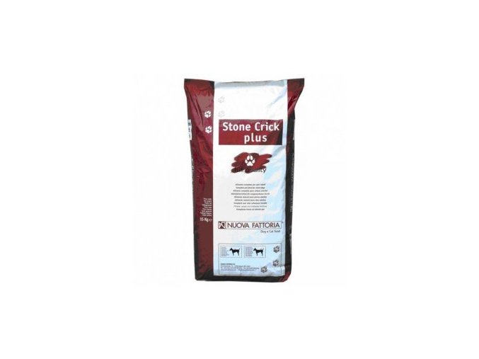 b3c38116 6bf1 4307 86f9 9a56496fdcce lrg