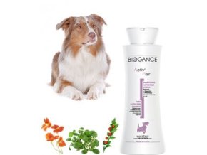 4f6e10da 7b93 4f1a 9796 3a3b91f4200d lrg