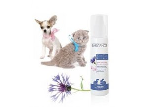 683bd64a 9831 4ebf 9e44 f4e4fbc0f089 lrg