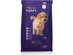 77c4b183 31f7 47ef a55a aa8e76325d2a lrg