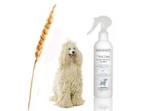 9b0b7671 e4ad 4dac b18c 9c467f96ed7b lrg