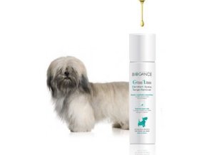 6858f58c c38e 4a96 913d d572f9550114 lrg