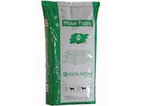 7fd8f258 b20a 43ce a5c6 c5d0e440a6f8 lrg