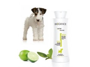 c53cf940 e552 4416 94cb 35d86a99e257 lrg