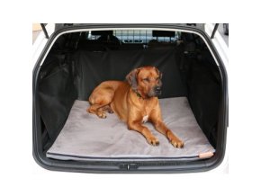 f5d4b661 efda 4795 9c67 27d08deb231d lrg