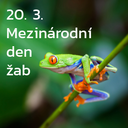 Objednávky
