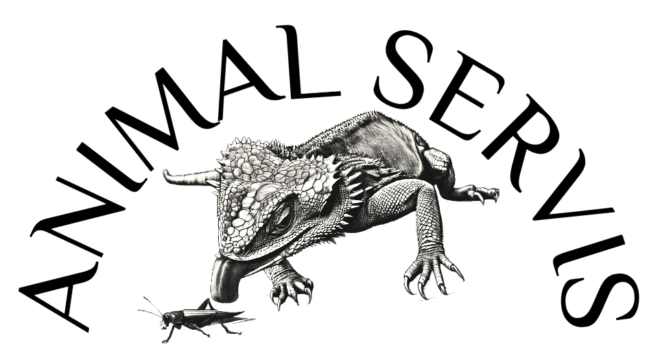 Animalservis.cz
