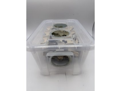 Box na krmný hmyz 28x20x14cm /5l