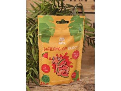 Blue River Watermelon Burst Gecko Diet 60g