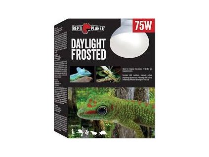 Žárovka Repti Planet Daylight Frosted 75W