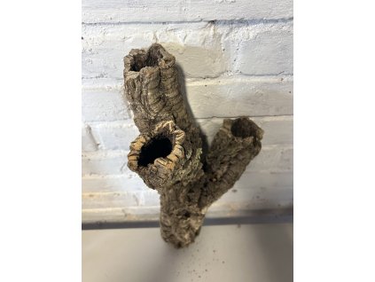 Korková kůra 1)  délka 46cm, Ø  10cm
