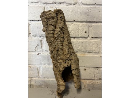 Korková kůra 2)  délka 35cm, Ø 10cm