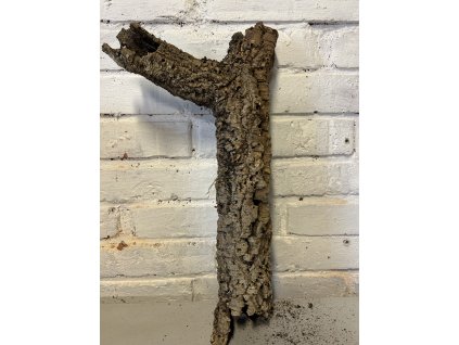 Korková kůra 8) délka 48cm, Ø 8cm