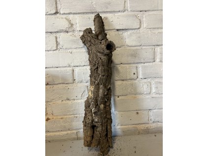 Korková kůra 20) délka 56cm, Ø 10cm