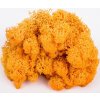 Islandský stabilizovaný, preparovaný mech 50g oranžová