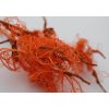 Indická sušina Curly moos, 50 g, oranžová