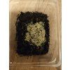 Ceratophysella isabellae „Yellow Albino") 150-200ks