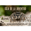 Isla de la Juventud L3/L4