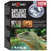 Žárovka Repti Planet Daylight Basking Spot 100W