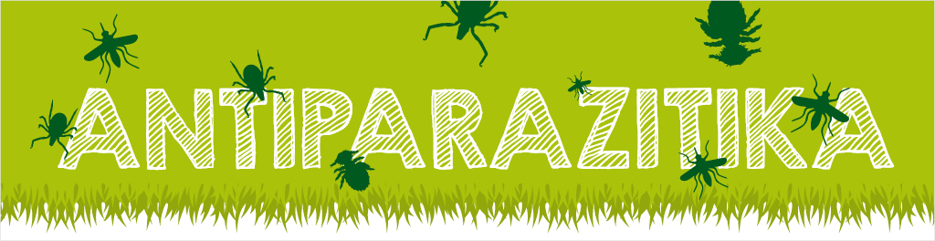 Antiparazitika pro psy