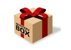 MYSTERY Box pro psy