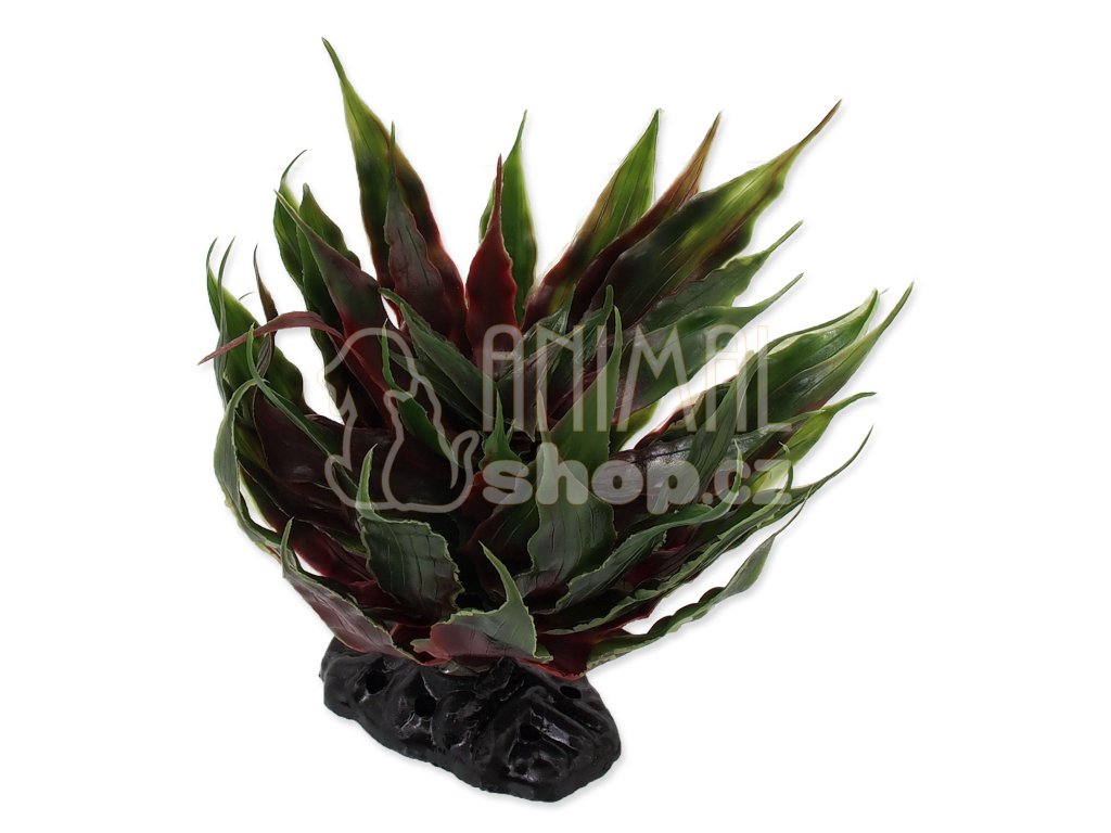 Rostlina REPTI PLANET sukulent Agave zelená 18 cm