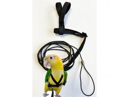 Kšandy s vodítkem pro papoušky - různé velikosti XXS-L