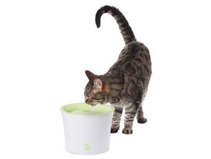 Fontána CAT plast velká 3l