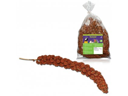 Senegalské proso červené, 200g