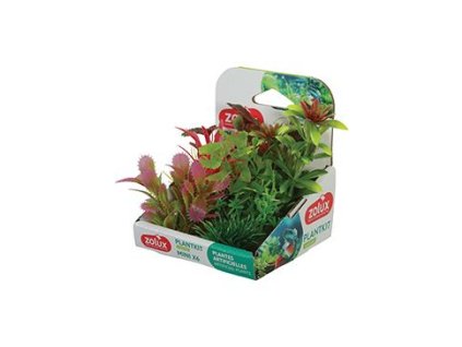 Rostliny akvarijní PLANTKIT 1 sada MINI 6ks Zolux