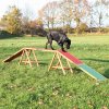 Dog Activity AGILITY nácviková lávka 456x64x30 cm