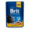 Brit Premium Cat kapsa with Salmon & Trout 100g