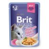 Brit Premium Cat D Fillets in Jelly with Chicken 85g