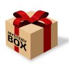 MYSTERY Box pro psy - Velký