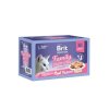 Brit Premium Cat D Fillets in Jelly Family Plate 1020g