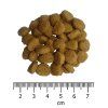 OPTIMAnova Cat Sterilised Chicken 6 kg
