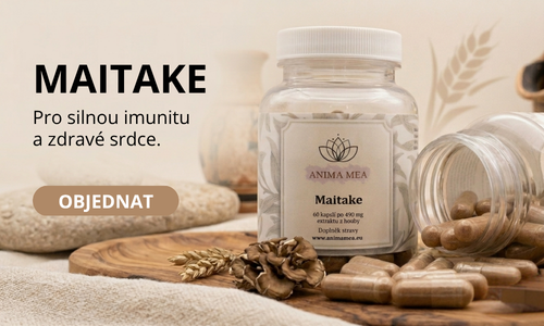 Maitake