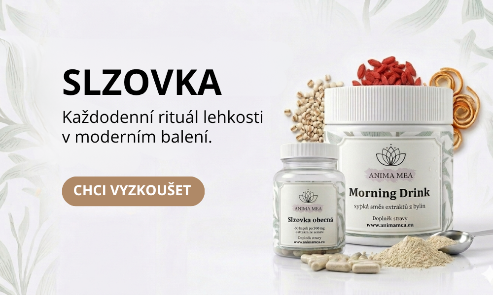 Slzovka