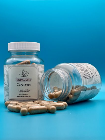 Cordyceps 60 kapslí
