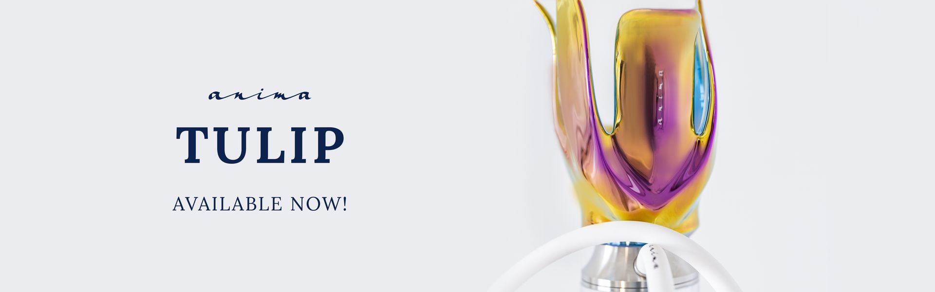 Tulip