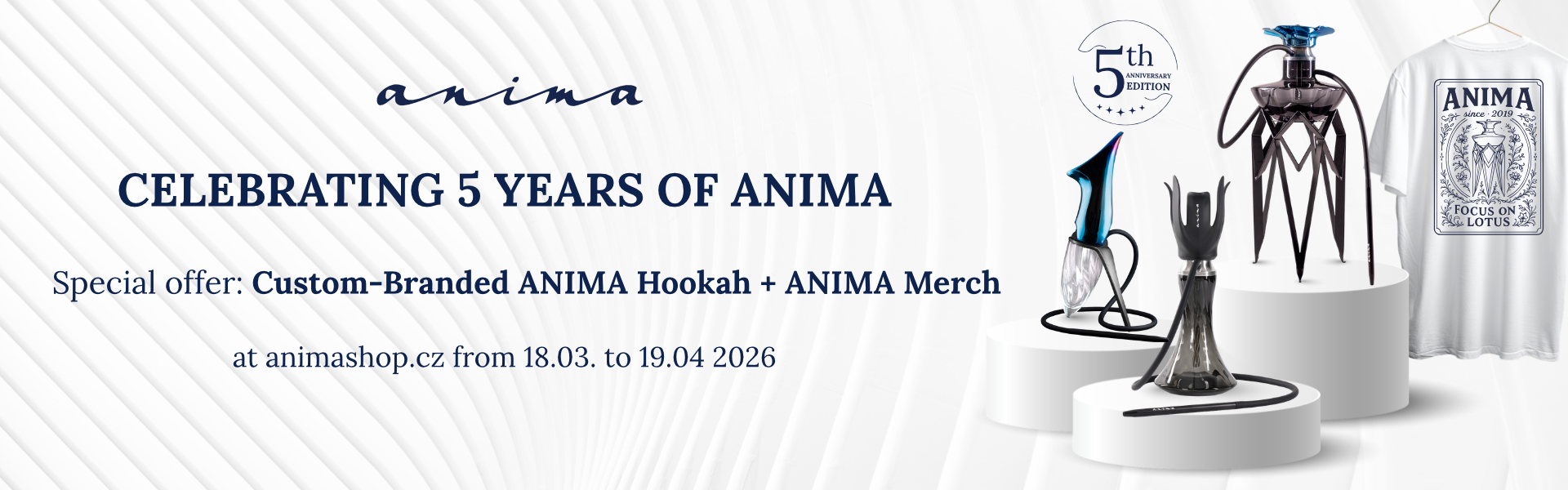 Anima 5 years