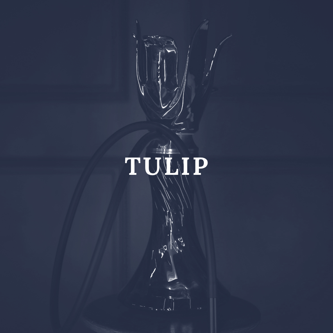 Tulip