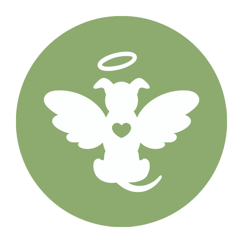 Unikátnosť a príbeh