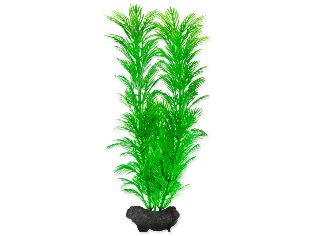 61148 1 rostlina tetra green cabomba m 1 ks z kategorie akvaristicke a teraristicke potreby akvarijni technika