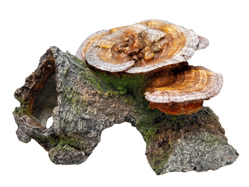 11415 1 nobby akvarijni dekorace jeskyne s houbami 18 x 19 x 10 cm z kategorie akvaristicke a teraristicke potreby dekorace do akvaria dutiny a ukryty