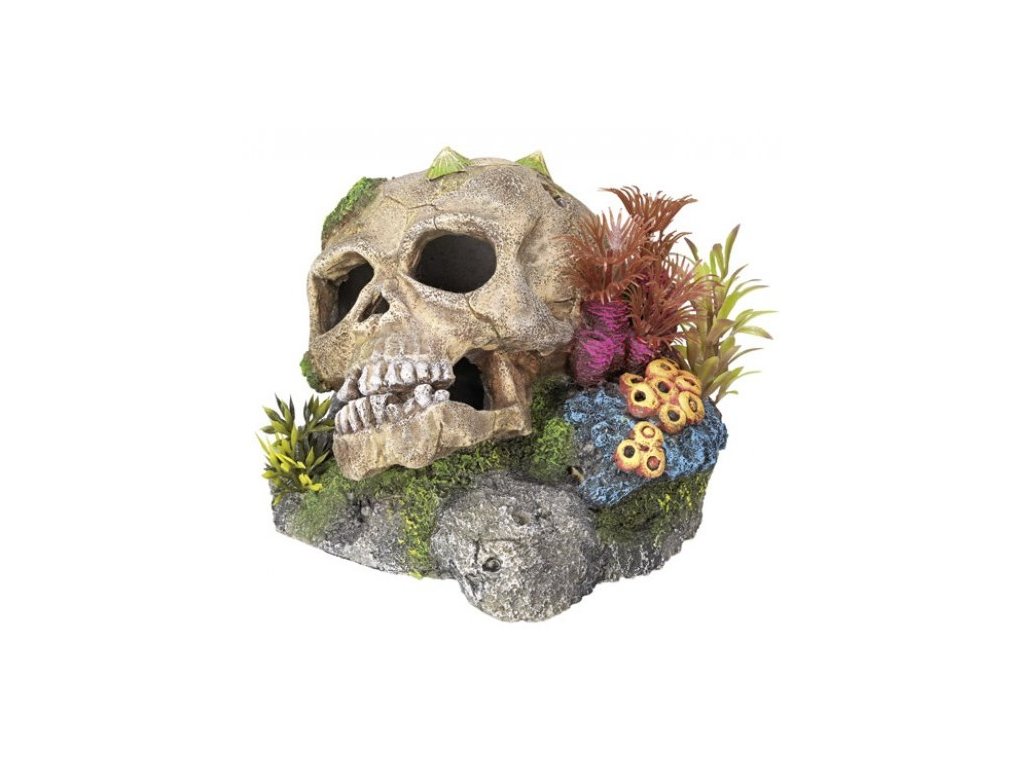 9501 1 nobby akvarijni dekorace lebka 13 5 x 13 5 x 10 5 cm z kategorie akvaristicke a teraristicke potreby dekorace do akvaria kostry lebky a poklady