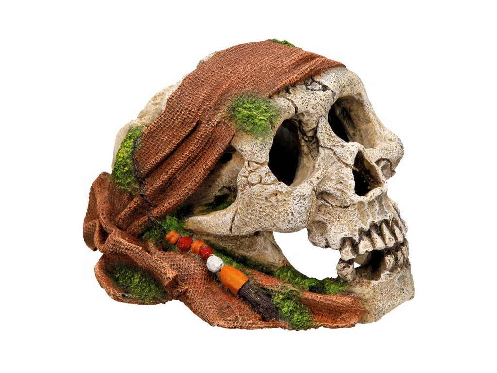 11421 1 nobby akvarijni dekorace piratska lebka 17 5 x 13 8 x 11 2 cm z kategorie akvaristicke a teraristicke potreby dekorace do akvaria kostry lebky a poklady