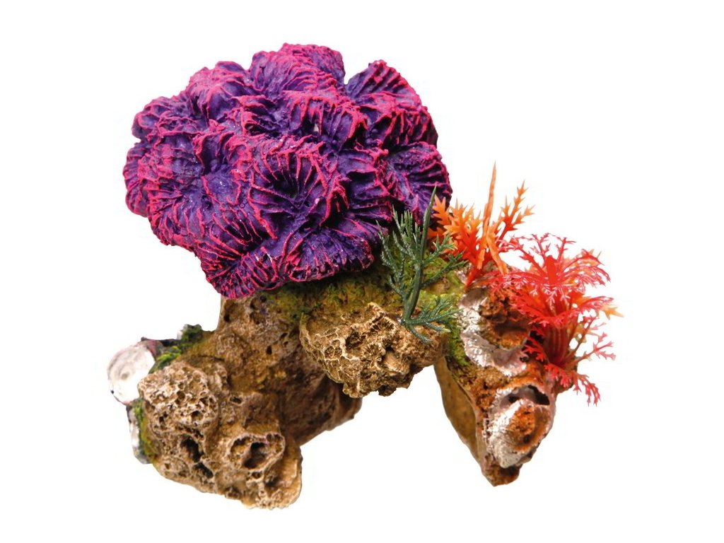 8754 1 nobby akvarijni dekorace koraly 13 x 10 x 12 cm z kategorie akvaristicke a teraristicke potreby dekorace do akvaria koraly musle