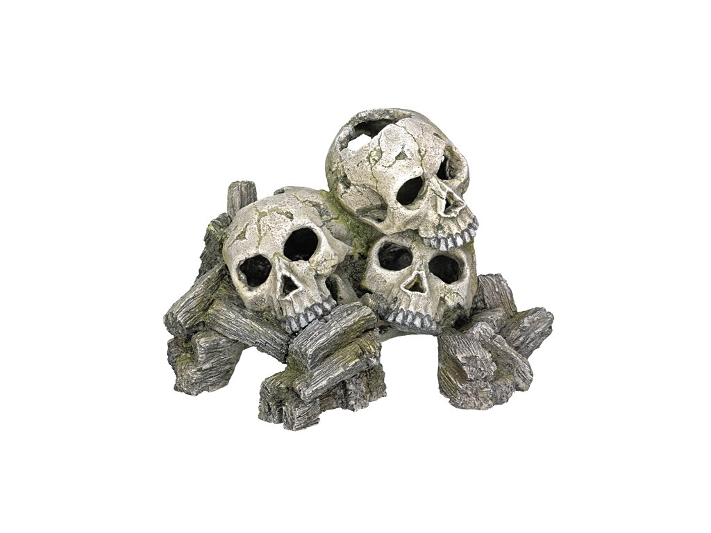 14562 1 nobby akvarijni dekorace lebky 23 x 16 x 14 5 cm z kategorie akvaristicke a teraristicke potreby dekorace do akvaria kostry lebky a poklady